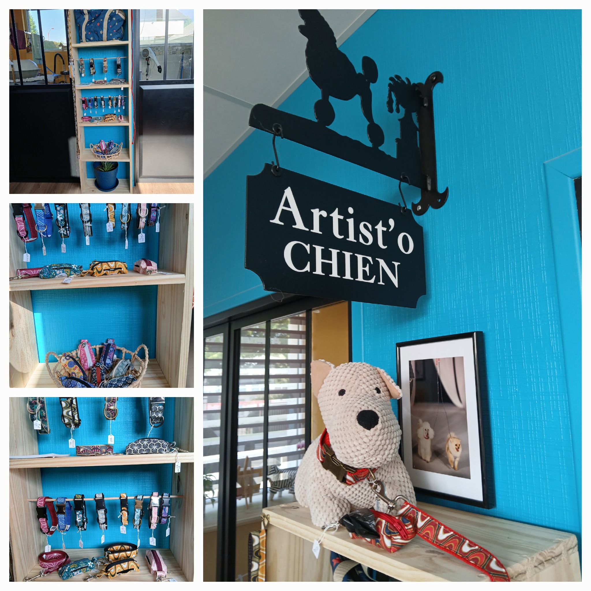 Enseigne Artist'O Chien et coin boutique d'accessoires
